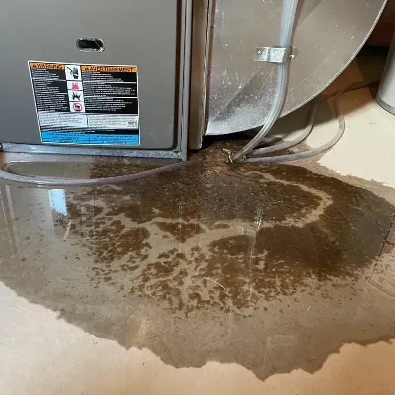 Appliance Leak Cleanup in Richland, NY